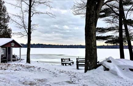 Cozy Lakeside Cabin in Manistee National Forest, Michigan - Foto 3