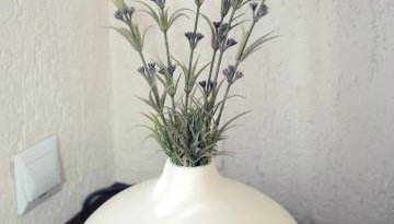 Lawendowe Studio - Foto 2