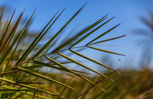 Glaros Kouremenos - Photo 52