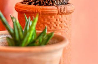 Le passage du renard pour 6 personnes avec parking - Foto 33