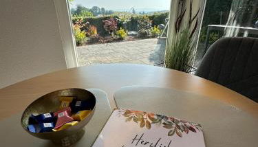 Kleine Perle mit Bodenseeblick und Sonnenterrasse - Foto 4