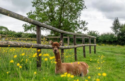 3 Bed in Ashbourne oc-93331 - Foto 33