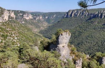 L'Oustalou - Tiny house en Aubrac - calme & nature - Foto 55
