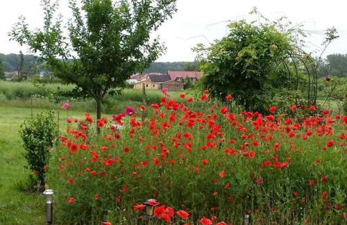 Apartment Schmetterling by Interhome - Foto 20