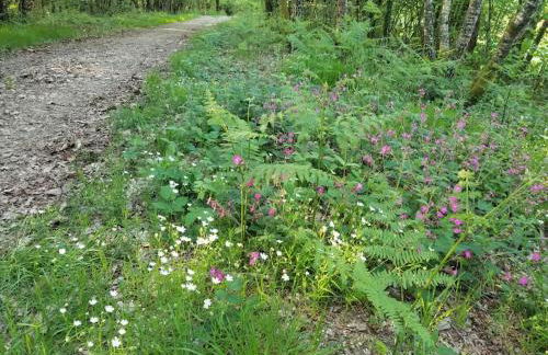 La bohème - Foto 28