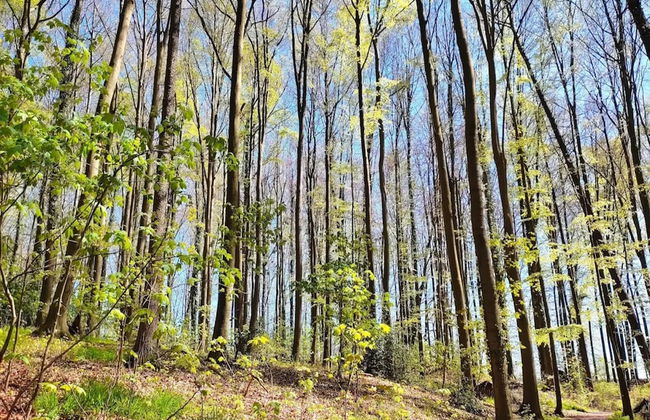 Ferienwohnung in Bissendorf - Foto 25