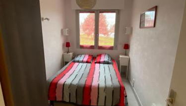 Apt 4 pers- Terrasse vue mer, 150 m de la plage - GILDWEN - Foto 4