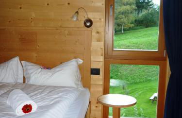 Maso Fior di Bosco - Val di Rabbi - Esercizio Rurale - Foto 29