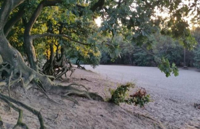 Luxury Villa in De Pier With Sauna - Photo 24