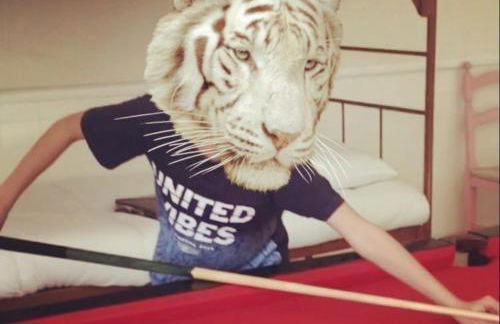 Bunker 11 Surf House - Foto 14