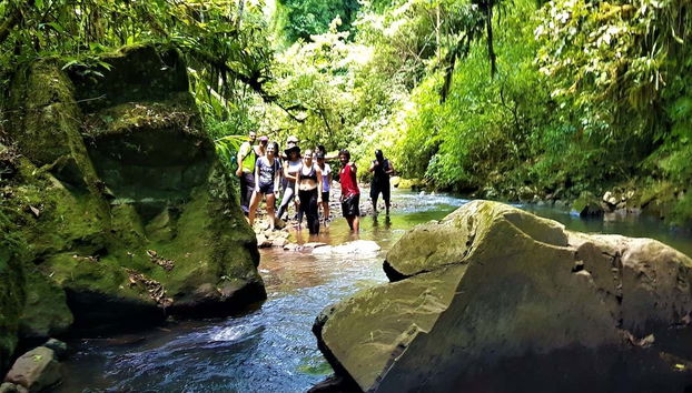 Gavião Faiado Waterfall Hiking Tour - Foto 4