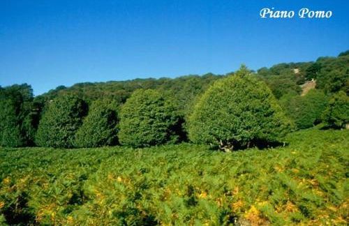 Casa Nicole - Foto 51