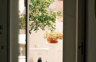 Dalla Pizzichicca - Photo 35
