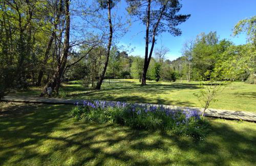 Les roulottes Vesta - Foto 52