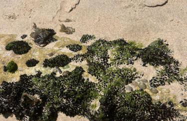 Jugendstil Villa - 2 min zum Meer - Foto 48