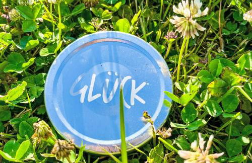 Apartment Kinast - HFT202 by Interhome - Foto 91