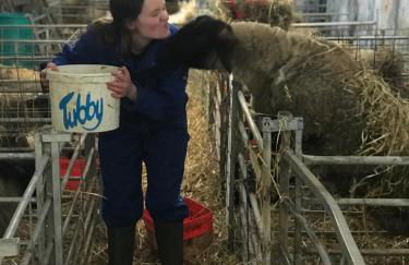 Ardbeg 4 - Farm Stay with Sea Views across to Northern Ireland - Foto 36