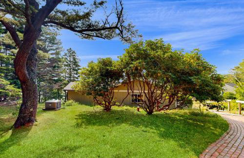 Seguinlandia - Foto 25