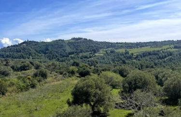 Sunrise View House Halkidiki! - Foto 10