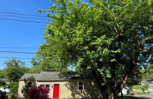 Holly Hill Haven - Photo 46