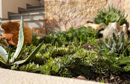 Quinta do Carvalho Cerquinho - Foto 11