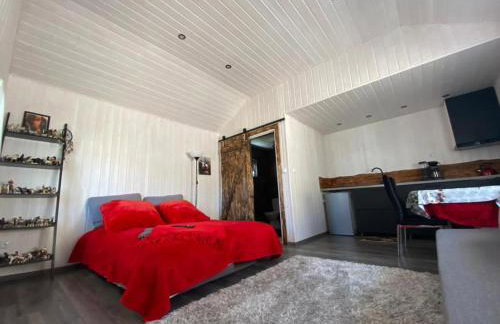 DarWik Domki Letniskowe - Foto 12