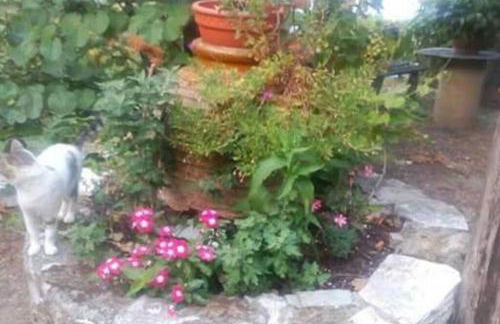 Xrysanthi's dream house - Foto 45