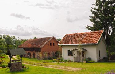 Po Prostu Dobro - Foto 4