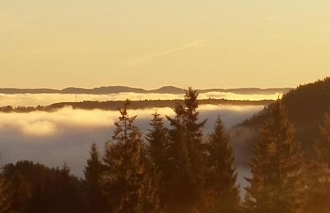 Charming Apartment, Harz Region - Foto 28