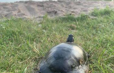 The Westender - Foto 17