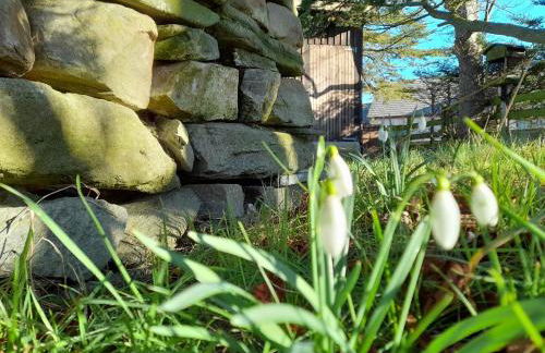 The Granary - Foto 49