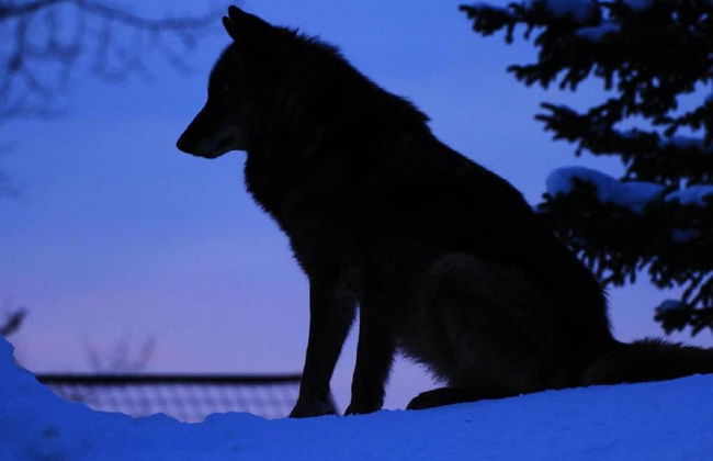 Stay in Biei - Foto 66