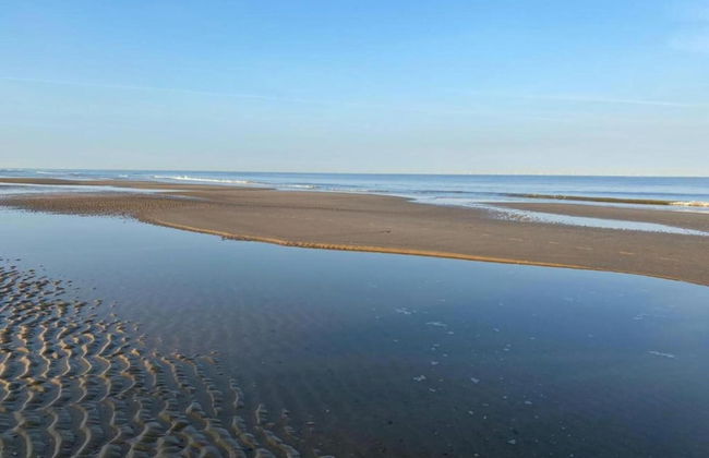 Luxurious Apartment Near the Pleasant Centre of Bergen - Foto 31