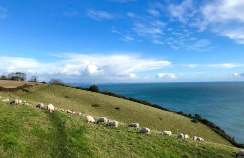 Spectacular view from balcony of coastal apartment - Foto 16