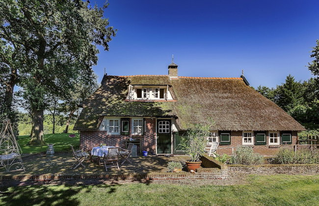 Villa in Ommen With Private Pond - Foto 40