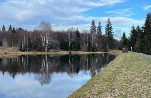 Großzügige Souterrainwohnung in historischer Stadtvilla im Herzen Zellerfelds - Foto 20