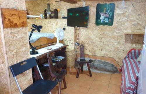 Loja Casa dos Cisnes - Serra da Estrela - Foto 24