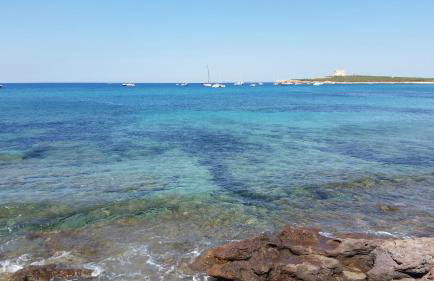 Apartments TERRAZZA DEI DUE MARI - Foto 36