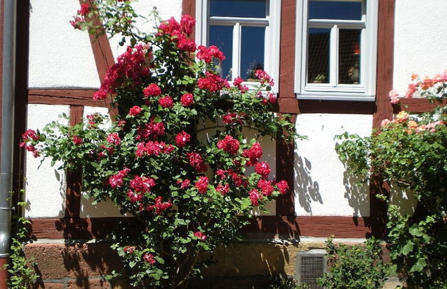 Stork's Nest Modern Retreat - Foto 22