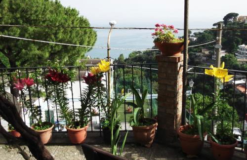 Le Mimose - Photo 56