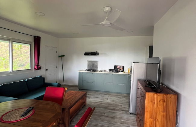 Painapo - Mirimiri Lodge - Photo 19