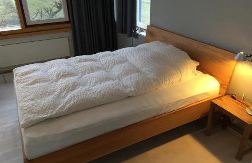 Glashaus direkt am Müritzufer - Foto 15