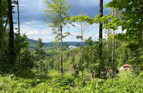 Ferienwohnungen Wagenstaller - Foto 34