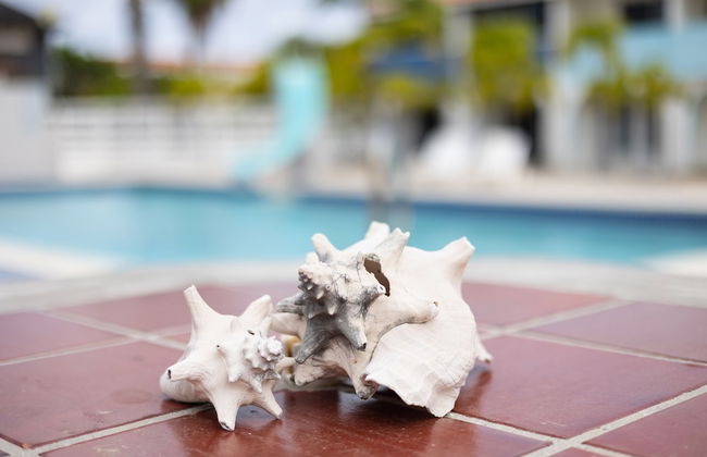 Light House Beach house with Ocean View - Foto 42