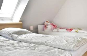 Haffmuschel - Foto 16