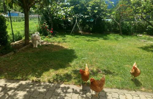 Casa Sergio - Foto 31