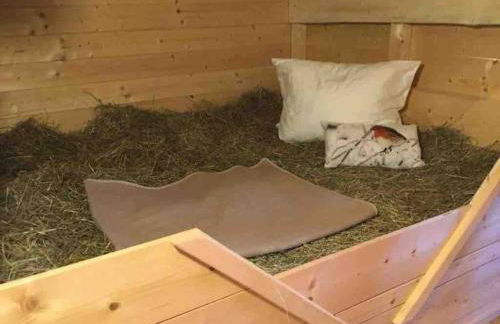 Chalet mit Almhüttencharme für bis zu 11 Personen - Foto 19