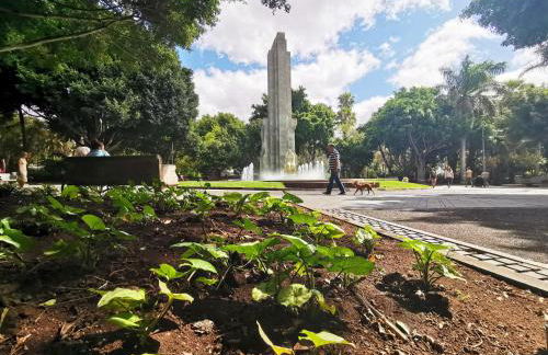 Home2Book Charming Studio Santa Cruz City Views - Foto 29