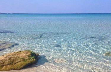 Ale house experience - Foto 58