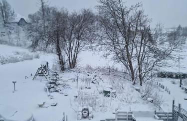 Mikes Fewo - Foto 32